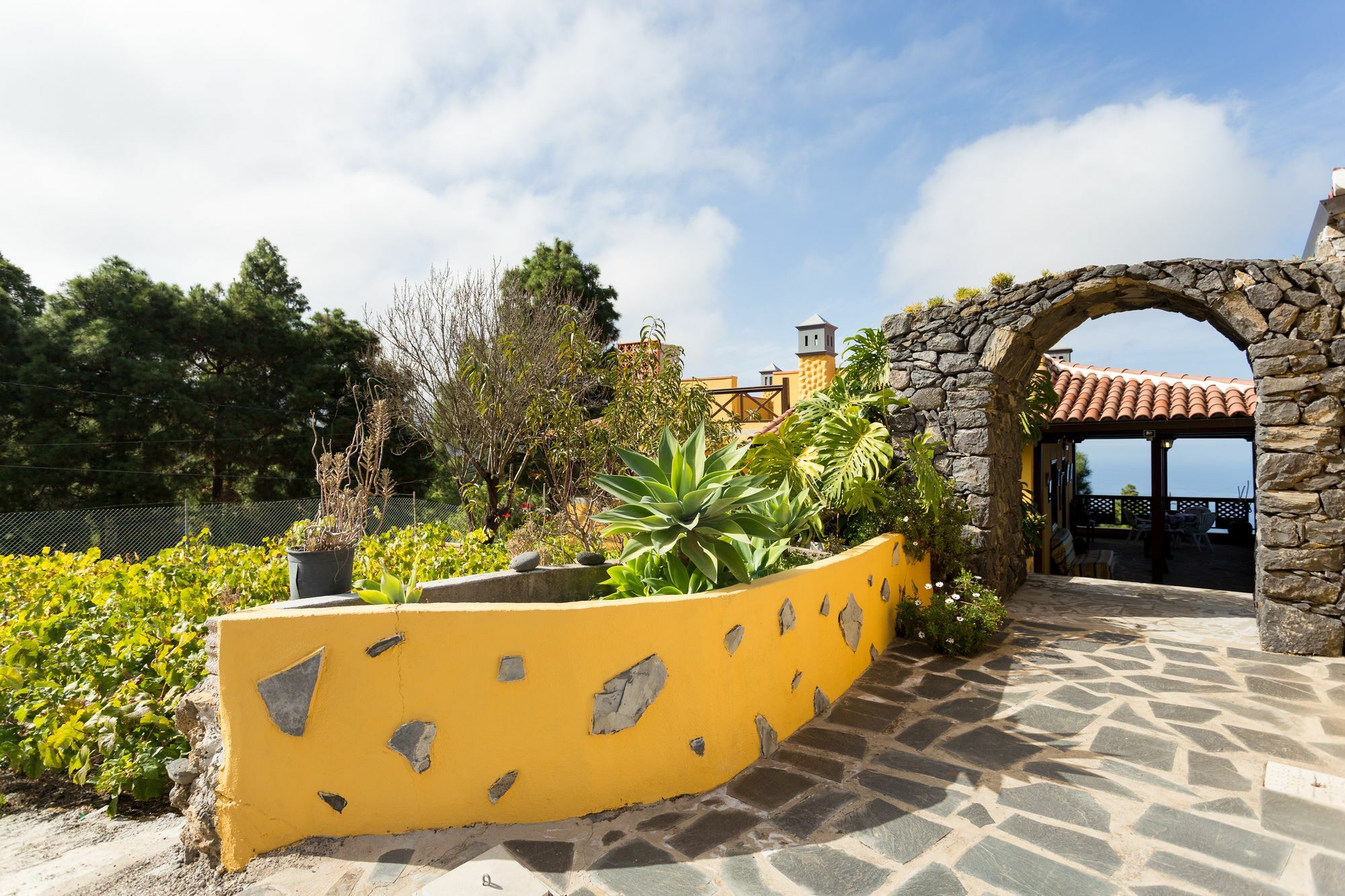 Finca Casa Yaya Icod De Los Vinos Dış mekan fotoğraf