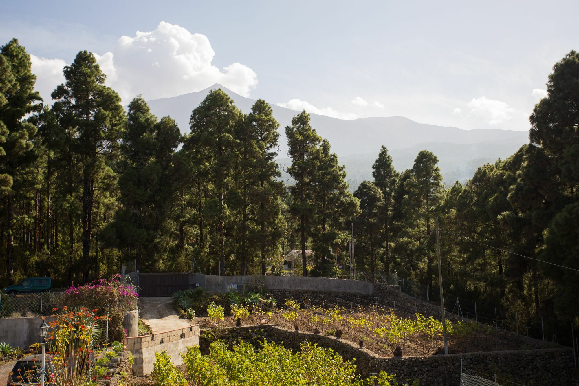 Finca Casa Yaya Icod De Los Vinos Dış mekan fotoğraf