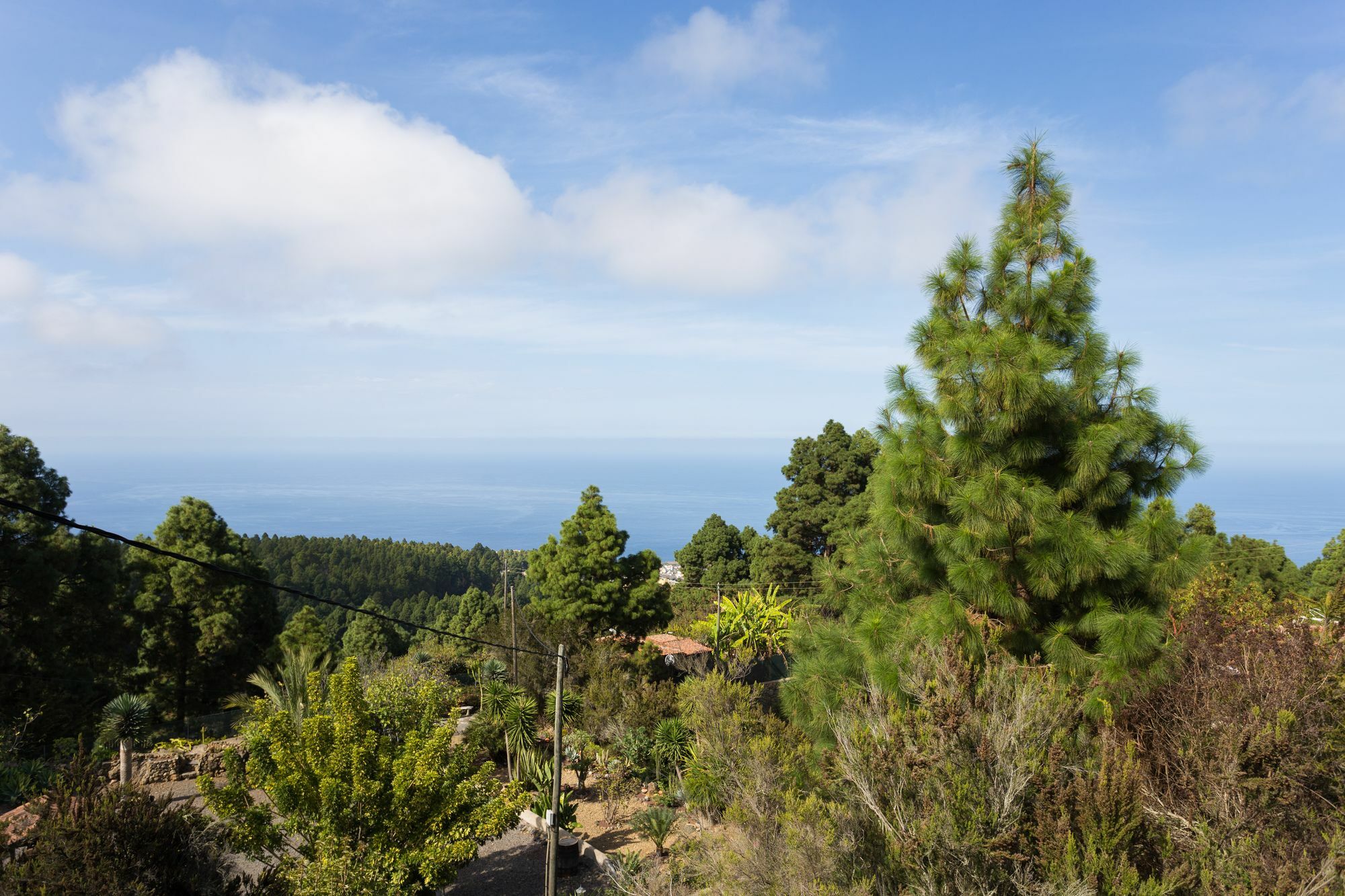 Finca Casa Yaya Icod De Los Vinos Dış mekan fotoğraf